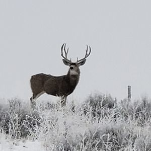 Meet your Posher, Shawn